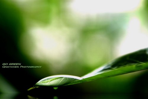go_green